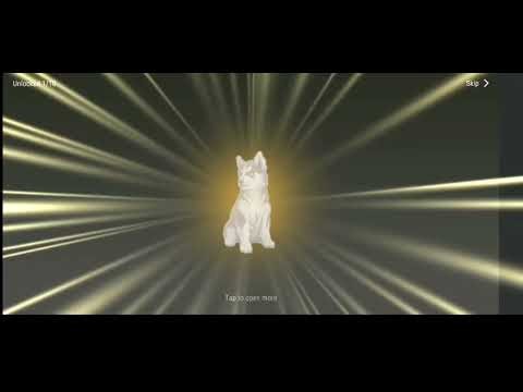 LDOE How to use Crossbreed of Rare dogs and how to get dog friend Last Day on Earth review