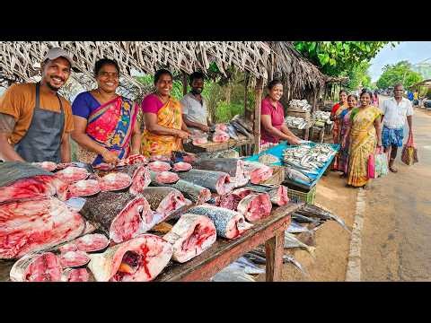 Wow! Sri Lanka's Fish Market Deciphering Secret Language of Seasoned Fishmongers