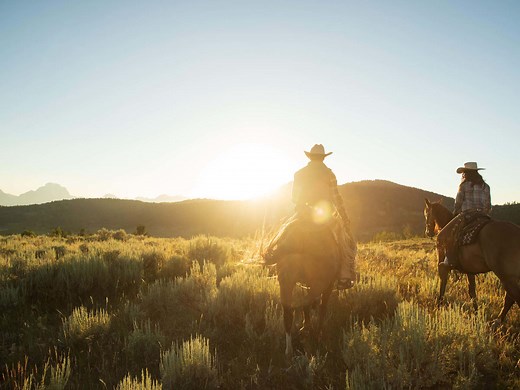 Wyoming Horseback Riding: A Must-Do Activity in Wyoming