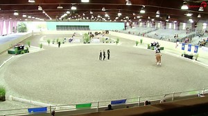 1K views · 15 reactions | Feeling it in the freestyle  The Oak Hills Vaulting team earn the National Champion title in the 3* A Team Freestyle on Cabo San Lucas at the USEF/EV USA Vaulting National Championships. | USEF Network | Facebook