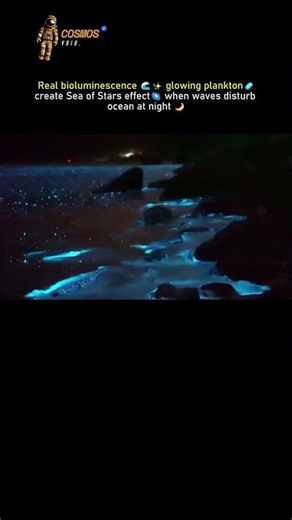 😳🌊Sea of Stars: Real Bioluminescence in the Ocean😮✨ #spaceshorts #usa