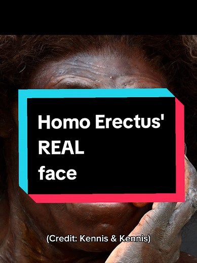 Homo Erectus: Unveiling the Real Face of Early Humans