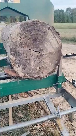 Log Breakdown | Opening a Red Oak to Find Ray-Fleck Figure