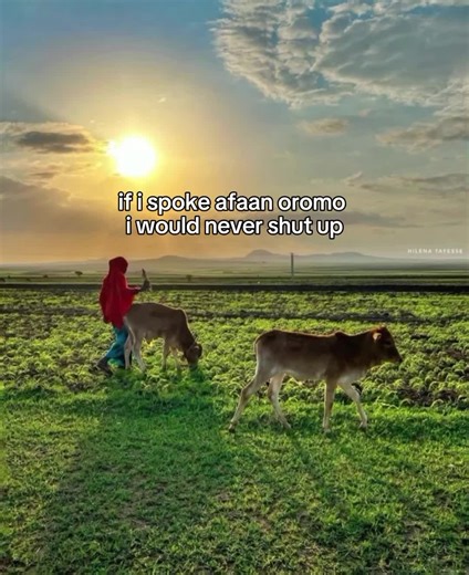 Discover the Beauty of the Oromo Language