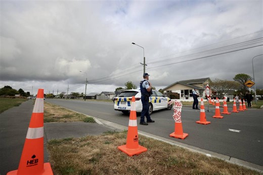 Victim’s dog alerted family after random attack at Chch park