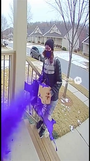 Got Another Porch Pirate - Purple Paint Explosion