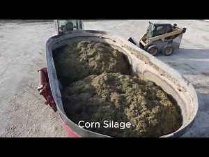 Mixing Feed on a Robot Dairy!