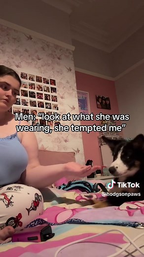 Border Collie Puppy Training Tips: Teaching Tricks and Boundaries