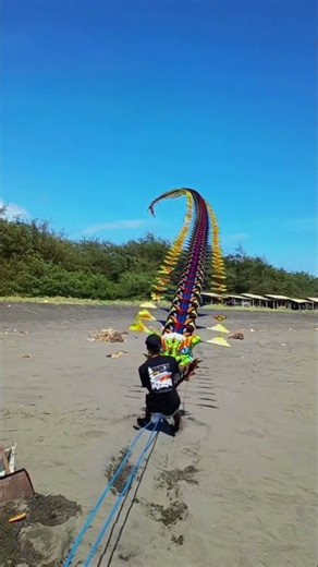 He flew the world's largest kite #shortsvideo