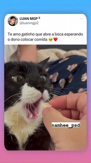 Memes Brasil on Instagram: "Diga “️”"