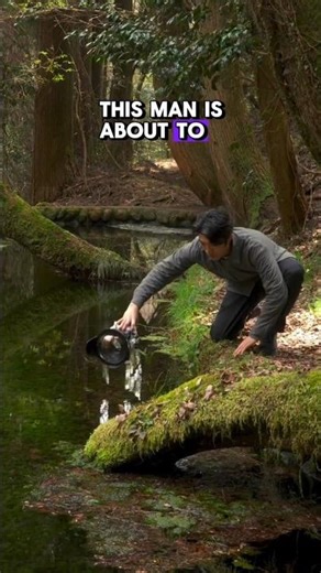 This Underwater Tree Will Shock You 😳🌊