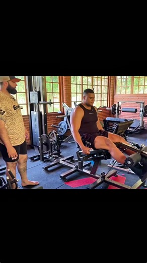 Desafio Bitelo: A Máquina que Venceu o Bitelo