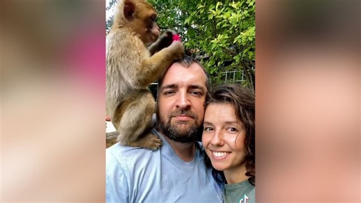 42K views · 570 reactions | These veterinarians are caring for the pets that Ukrainian refugees had to leave behind. Get the full story on the Vet Crew: https://bit.ly/41OV590 | CNN Heroes | Facebook