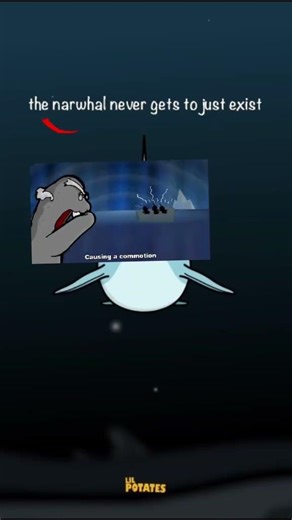 #narwhal #fyp #funny #humor #humour