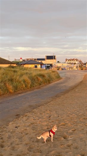 22K views · 526 reactions | A little reel from early last Thursday morning, capturing the glorious sunrise over Skegness. It was a beautiful start to the day.  #Skegness #SkegnessBeach | GO Skegness | Facebook