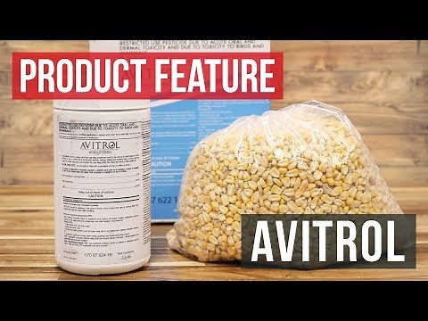 Avitrol: Environmentally Sound Bird Control