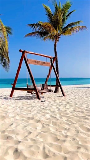 Experience the charm of Cancun and make every moment unforgettable 🌴 Stay somewhere where the tropical vibe is felt in every detail, the beaches shine under the sun, and the hospitality wraps you like home: @IntercontinentalCancunResort. ✨ . . . Vive el encanto de Cancún y convierte cada momento en algo inolvidable 🌴 Hospédate donde la vibra tropical se siente en cada detalle, las playas brillan bajo el sol y la hospitalidad te abraza como en casa: @IntercontinentalCancunResort. ✨ #MexicanCari