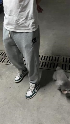 马戏团小狗🐶基因唤醒，井盖100%触发跳跃技能#泰迪 #狗狗 #狗子成精了 #狗子的迷惑行为 #狗子