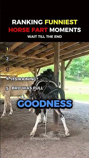Ranking Funniest Horse Loud Fart Moments 🤣 #funnyvideo #horse #funnyclips #usa #funny #equestrian