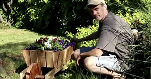 DIY rustic wheelbarrow garden planter tutorial for your home garden.