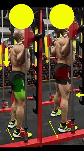 186K views · 688 reactions | ✅ Glutes or quads more when doing squats in smith machine #fitgirl #fitwomen #fitnessmotivation #fitfam #fitspo #sidfitfacts #fitnesstips #fitnesstips #fyp | kamalc32 | Facebook