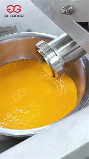 Mango Pulp Processing Line #machine