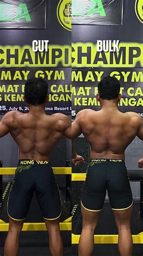 Cut vs Bulk: Understanding Bodybuilding Strategies
