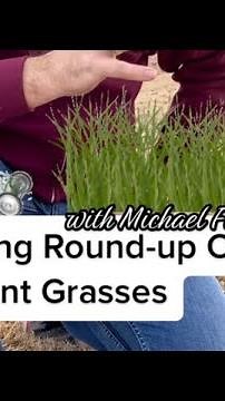 Spraying Round-Up on Dormant Grasses