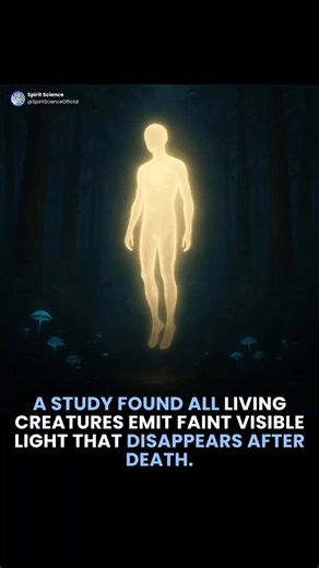 15 reactions | Science has discovered that all living beings emit...