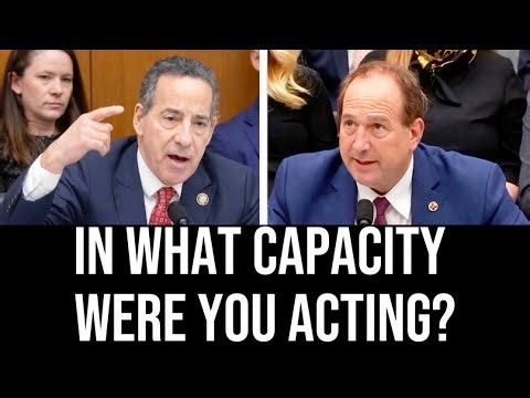 Raskin DESTROYS Trump's Patent Director in Hearing: "Is This a Service You Offer ALL Americans?"
