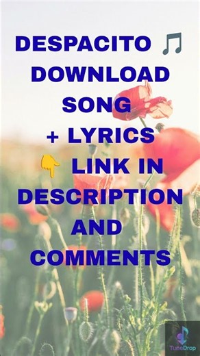 Despacito By Luis Fonsi | Download and Lyrics | Full Song Video #shorts