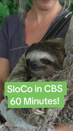 SloCo Featured on CBS 60 Minutes Interview with Dr. Cliffe