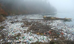 Battling Plastic Pollution One Cup at a Time