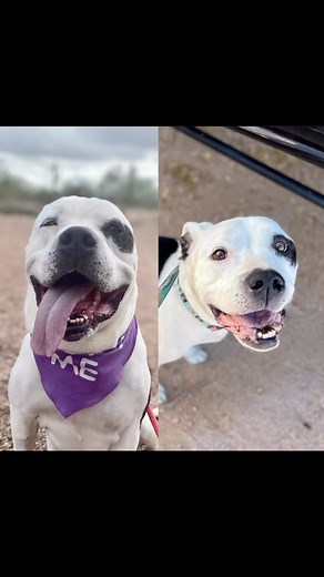 7.3K views · 2.5K reactions | This is not the typically before and...