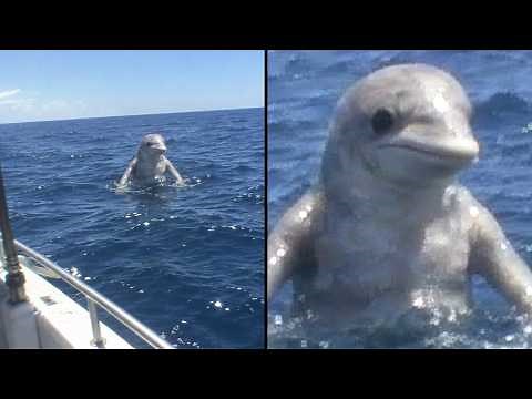Scary Things Sailors Filmed Hundreds of Miles From Land