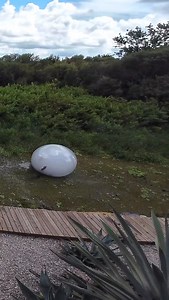 uh oh.🙈 | Tooturnttony