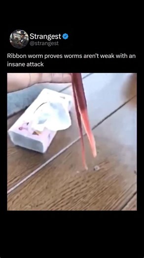 Theories & Facts on Instagram: "Follow @strangest (us) for more content like this!"