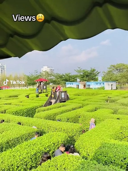 Get More Views on Your Videos 😩🤍