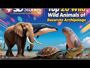 20 Animals of Bazaruto | Beast challenge Stories