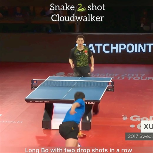Xu Xin’s Unbelievable Snake Shot vs Fang Bo | Must Watch Rally#tabletennis #viral #viralvideo