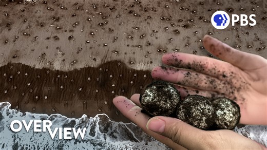 Each fall, a remote stretch of volcanic sand in Costa Rica transforms into one of nature’s greatest spectacles: Tens of thousands of sea turtles arrive en masse and nest in unison. But this breathtaking event hides a surprising paradox that may actually help save the species. | PBS Digital Studios | Facebook