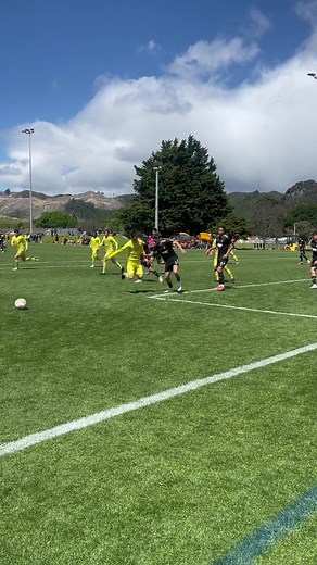 Highlights from Phoenix vs Auckland Game