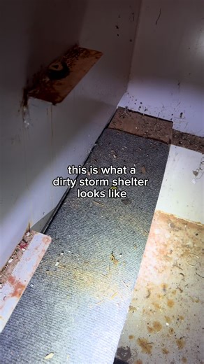 Streamline Your Shelter Cleaning with Take Cover