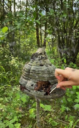 464K views · 857 reactions | Clever Camping and Survival Tricks | 5-Minute Crafts UK | Facebook