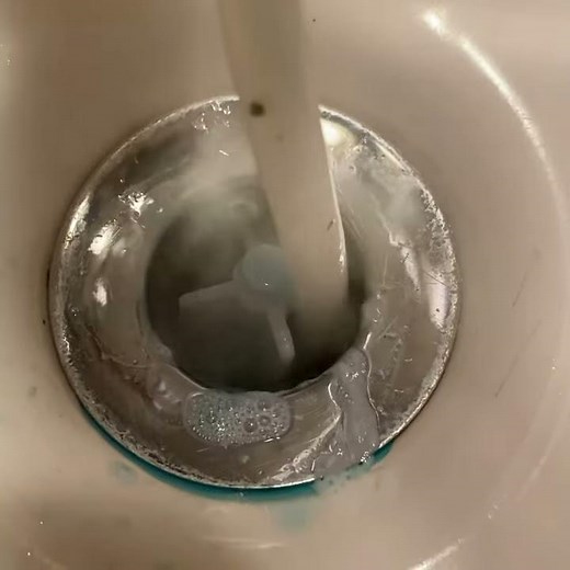 The way to get rid of drain flies; foaming the drains. Birmingham, Alabama pest control