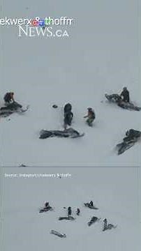 Alberta man survives free-fall from B.C. cliff