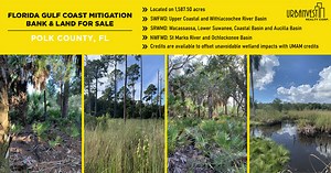 Florida Gulf Coast Mitigation Bank - The Mitigation Banking Group