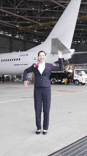 空を自由に飛べるならどこに行きたい〜？ #JAL #japanairlines #日本航空 | japan airlines