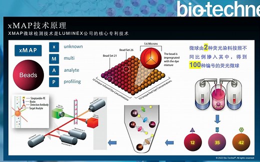 Luminex蛋白多因子检测技术：原理、流程及应用
