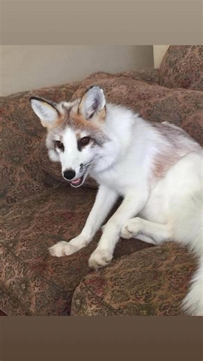 43 reactions · 8 comments | Chris Thompson on Reels | Facebook